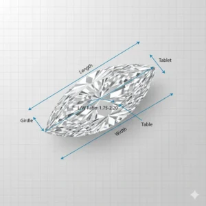 Close-up illustration showing the technical dimensions and classic shape of a Marquise Diamond cut.